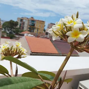Plumaria , Málaga España